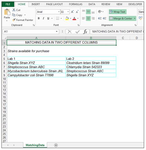 Image result for Compare Two Columns in Excel Find Differences