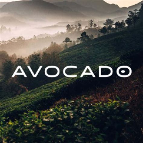 Avocadogreenmattress.com COUPON CODES - $175 for Jul 2026