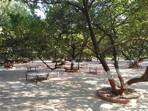 Tikuji NI Wadi Fun Resort for Family and Freinds - Travel And Food Blogger