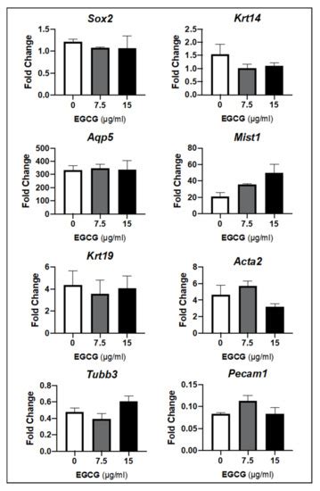 IJMS | Special Issue : Recent Advances in Salivary Gland and Their Function