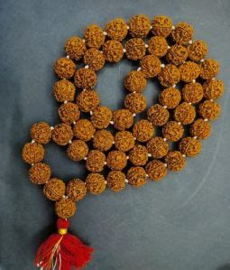 2 Mukhi Himalayan Rudraksha Mala Supplier from Haridwar