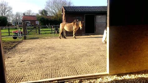 Buy ಡ್ರೈವ್ ವೇ ಪಾರ್ಕಿಂಗ್ ಗ್ರಿಡ್ ಗಳು 40 ಸ್ಕ್ವೇರ್ ಮೀಟರ್ ಗಳು = ಎಕ್ಸ್ 160 ...