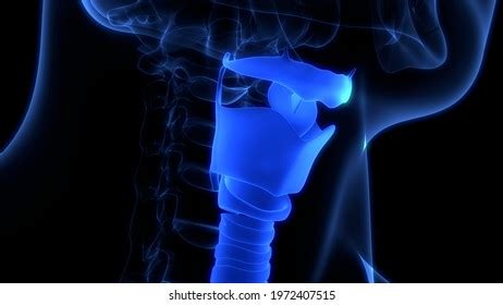 Neck Design Cutting 的图像结果