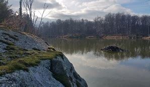 Wildlife, Fish & Marine Life Newsletter