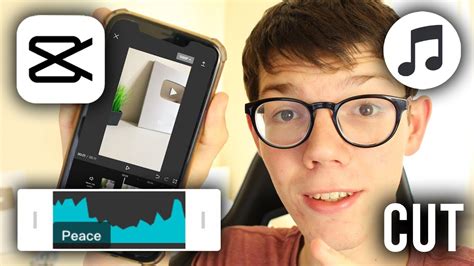 Image result for Cap Cut Tutorial How to Edit Audios