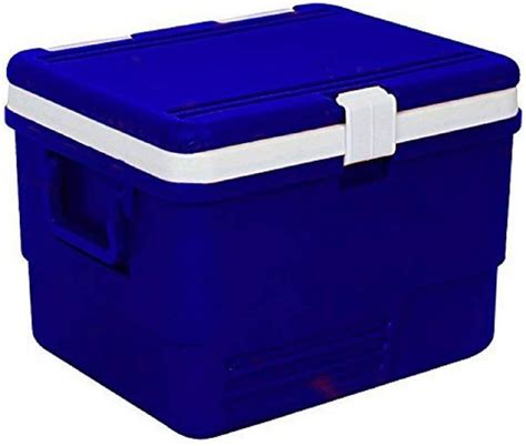 Buy Divik Plastic Insulated Icebox Ice Cooler Box Insulated Chiller Ice ...