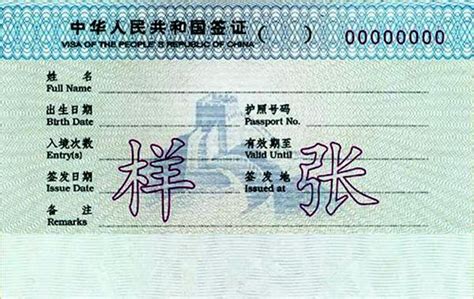 外籍人员在宁波申领签证证件实现“最多跑一次”-浙江新闻-浙江在线