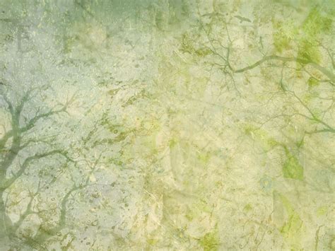 Image result for Spring Texture PNG