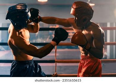 Boxing Face Off 的图像结果