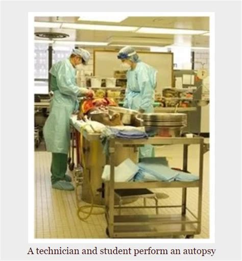 Forensic Autopsies 的图像结果