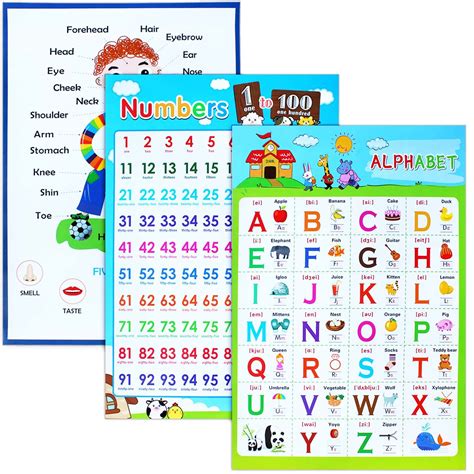 Buy 3 Pieces Educational Laminated Wall Learning Chart Number and ...