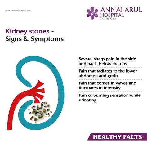Kidney Stones Signs & Symptoms – Multispeciality Hospitals in Chennai