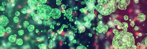 Viral Vector Manufacturing Process 的图像结果