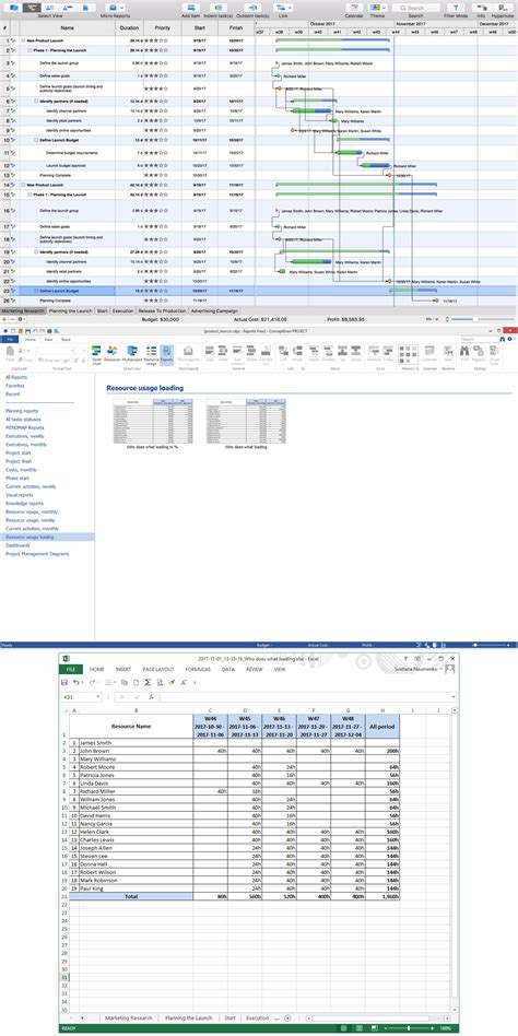 Image result for Resource Loading in MS Project