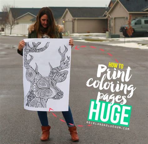 Image result for Printable Color