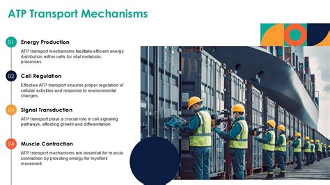 Rezultat imagine pentru ATP Process