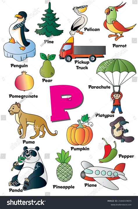 Letter P Words Starting Letter P Stock Vector (Royalty Free) 2164219655 ...