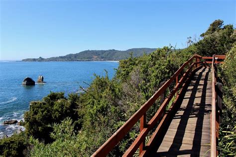 Parque Nacional Alerce Costero - Valdi.App