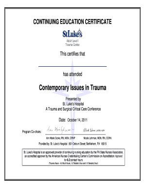 Fillable Online Nursing Certificate 2 Fax Email Print - pdfFiller