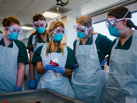 Forensic Medical Examiner Salary California - 2026 Company Salaries