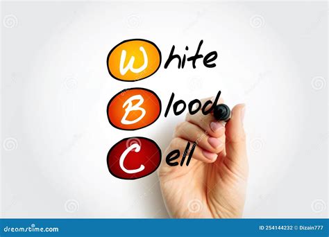 WBC White Blood Cell - Cellular Component of Blood that Helps Defend the Body Against Infection ...