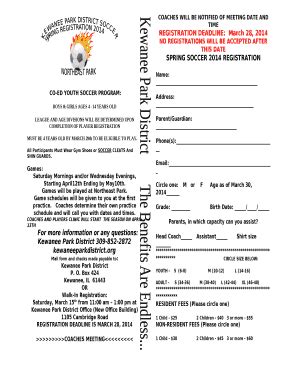 CO-ED YOUTH SOCCER PROGRAM: Doc Template | pdfFiller