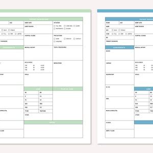 Buy Printable Nursing Report Sheet, Nurse Brain Sheet, Single Patient ...