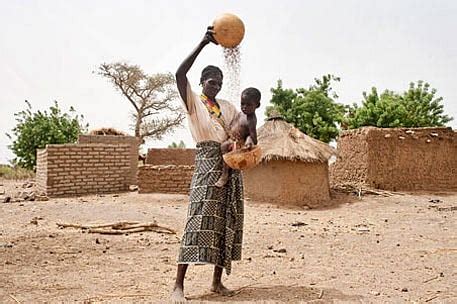 Conference on climate change, agricultural risk management in Sub ...