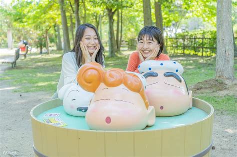 Image result for Student Pass OR Fail Program in Python