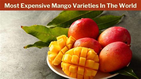 10 Most Expensive Mango Varieties In The World
