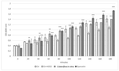 Antioxidant Potential and Enhancement of Bioactive Metabolite ...