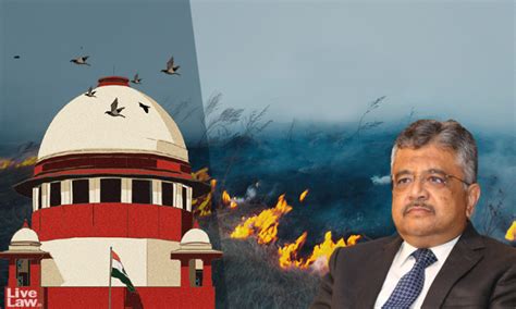 Stubble Burning : 'Nasty Utterances Made Against Me In Media That I ...