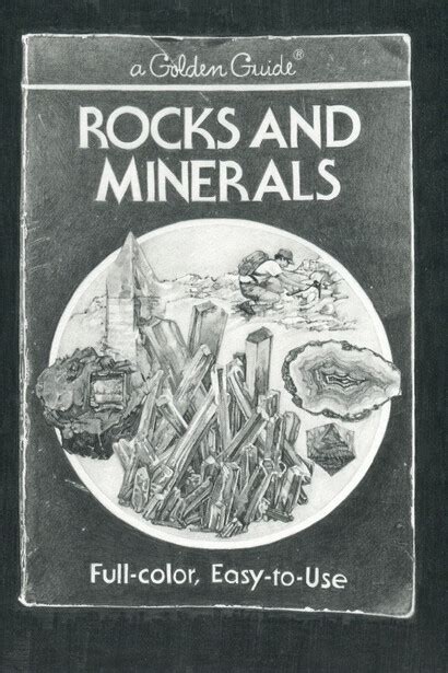 Eric Zimmerman | Meer