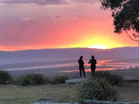 WILD PEDDER (2026) All You Need to Know BEFORE You Go (with Photos ...