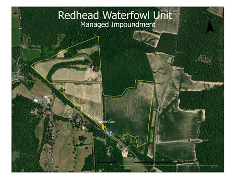 Clarks River NWR Redhead Waterfowl Unit | FWS.gov