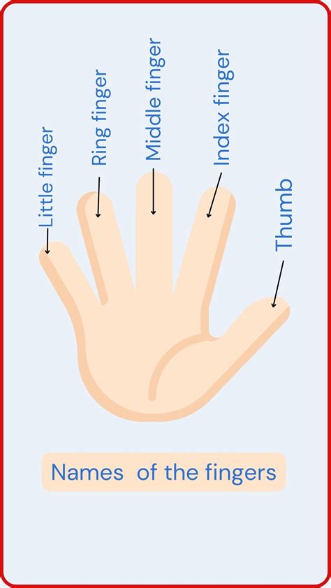 Hand Fingers Names for Kids | Fun Learning with Emoji Guide 👆☝️ ️🖐🧠👌 ...