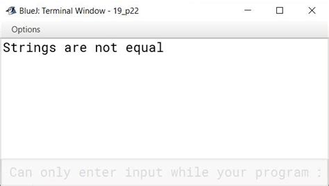 Image result for BlueJ Java Return String Method