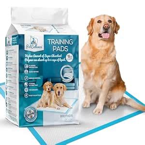 PetCellence Puppy Pads 100 Count : Amazon.in: Pet Supplies