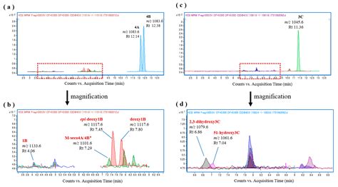 Biooxidation of Ciguatoxins Leads to Species-Specific Toxin Profiles