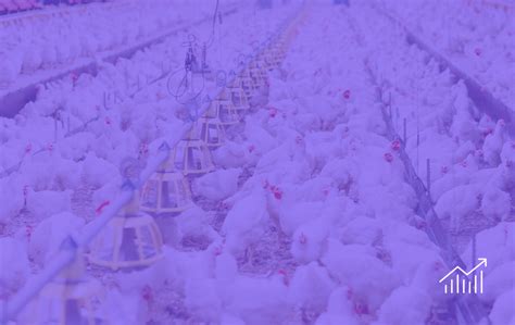 Image result for Farm Design Factory