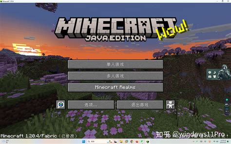 MC Java Clients 的图像结果