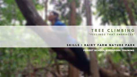 Tree Climbing Lessons 的图像结果