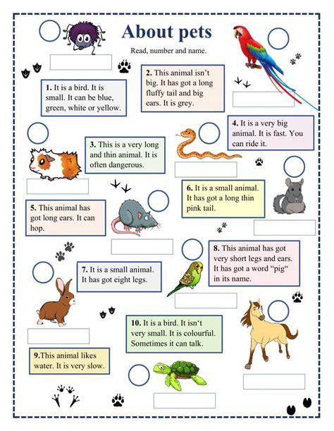 Pets Worksheet 的图像结果
