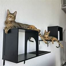 Cat Bookshelves by Wall Mounted Cat Tree Review Loaf Cat Bookshelves