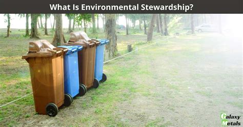 Stewardship 的图像结果