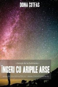 Ingeri Cu Aripi Arse: Buy Ingeri Cu Aripi Arse by Cotfas Doina at Low ...