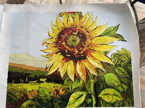 Image result for Visual Guidebook