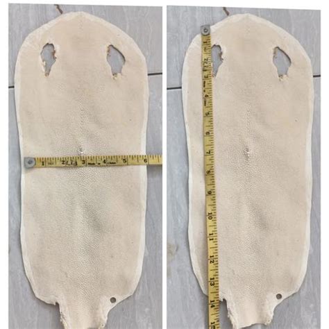 Jual Kulit ikan pari batu besar jenis jantan lembaran soft bahan tas ...