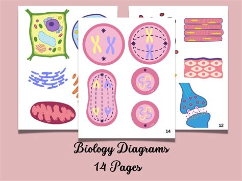 Biology Learning 的图像结果