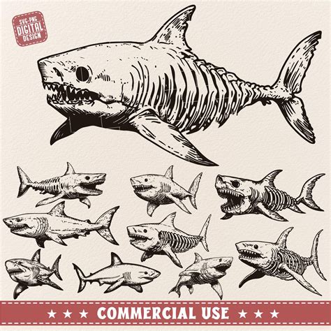 Shark Bones Svg Png Bundle, Fish Skeleton Svg, Marine Creatures Svg, Shark Png Bundle, Shark ...